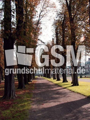 B-Herbststimmung 074.jpg